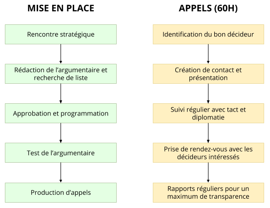 schema